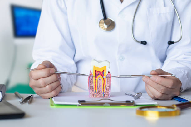 Best Emergency Dental Extractions in Metamora, IL